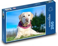 Pes - domáce zviera Puzzle 260 dielikov - 41 x 28,7 cm 
