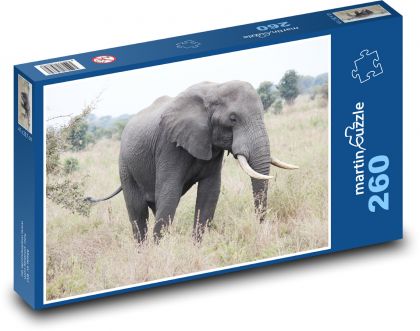 Afrika - slon - puzzle 260 dílků