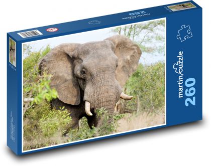 Elefant - Afrika - Puzzle - 260 Teile