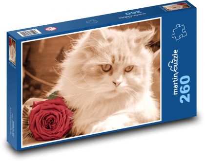 Kočka - růže - puzzle 260 dílků