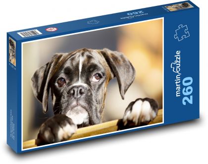 Pes - boxer - puzzle 260 dílků