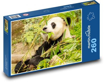 Panda - medveď - Puzzle 260 dielikov, rozmer 41x28,7 cm