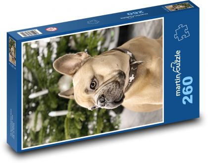 Hund - Französische Bulldogge, Weihnachten - Puzzle - 260 Teile