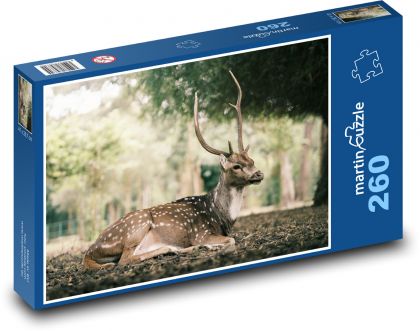 Wildlife - Puzzle 260 pieces, size 41x28.7 cm 