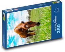 Pferd - Weiden Puzzle 260 Teile - 41 x28,7 cm