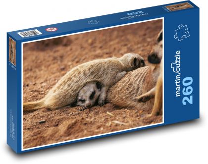 Surykatki - ssaki - Puzzle 260 elementów, rozmiar 41x28,7 cm