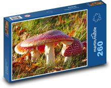 Houby, Muchomůrky Puzzle 260 dílků - 41 x 28,7 cm