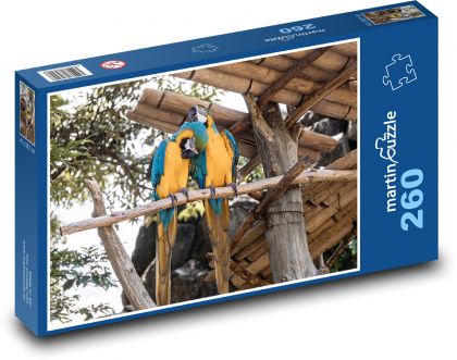Vtáky - papagáje - Puzzle 260 dielikov, rozmer 41x28,7 cm