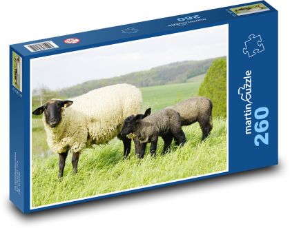 Owls - Puzzle 260 pieces, size 41x28.7 cm 