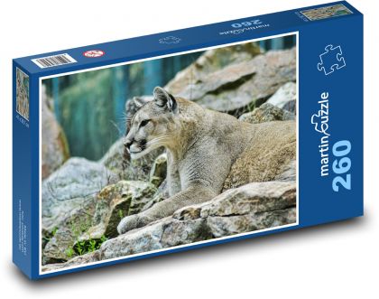 Ein Berglöwe. - Puzzle - 260 Teile