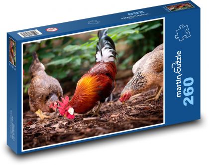 Huhn - Vogel - Puzzle - 260 Teile