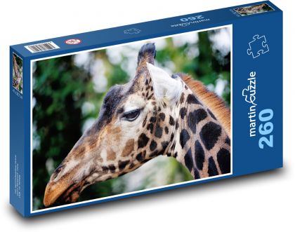 Giraffe - Puzzle 260 pieces, size 41x28.7 cm 