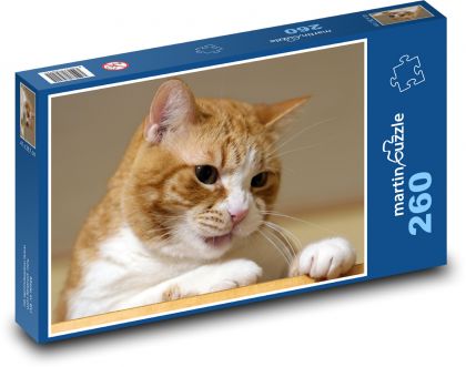 Mačka - Puzzle 260 dielikov, rozmer 41x28,7 cm
