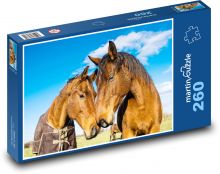 Koně Puzzle 260 - 41x28,7 cm