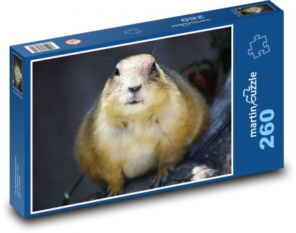 Präriehund - Puzzle - 260 Teile