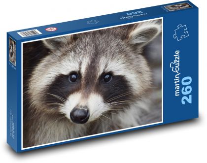 Raccoon - Puzzle 260 pieces, size 41x28.7 cm 