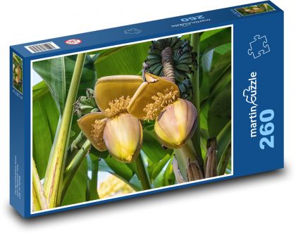 Banánovník - Puzzle 260 dielikov, rozmer 41x28,7 cm