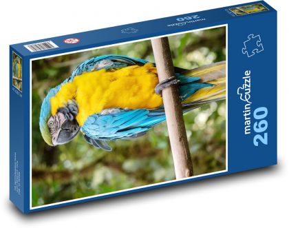 Papoušek - puzzle 260 dílků