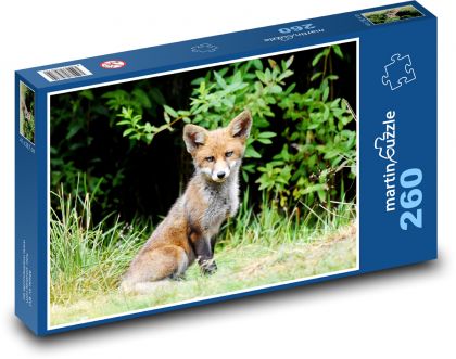 Liška - mládě - puzzle 260 dílků