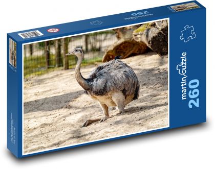 Pták - pštros - puzzle 260 dílků