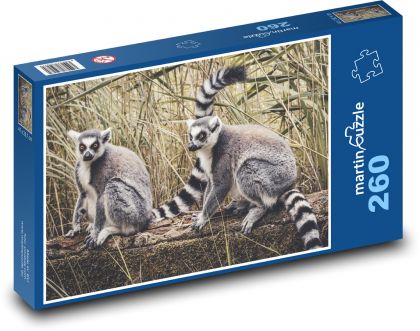 Lemurs - half monkeys - Puzzle 260 pieces, size 41x28.7 cm 