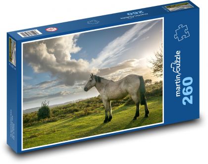 Kôň - príroda - Puzzle 260 dielikov, rozmer 41x28,7 cm