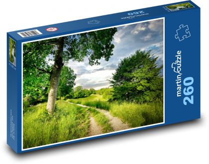 Príroda - cesta - Puzzle 260 dielikov, rozmer 41x28,7 cm