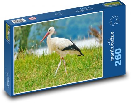 Ptak - bocian - Puzzle 260 elementów, rozmiar 41x28,7 cm