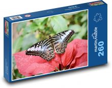 Schmetterling - Insekt Puzzle 260 Teile - 41 x28,7 cm