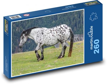 Kôň - Puzzle 260 dielikov, rozmer 41x28,7 cm