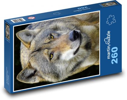 Wolf  - Puzzle 260 pieces, size 41x28.7 cm 