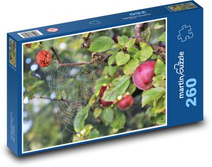 Apfel-Spinnweben - Puzzle - 260 Teile