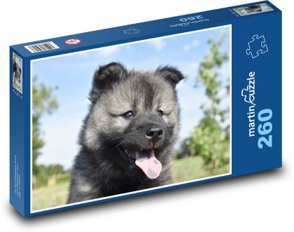 Eurasischer Welpe - Puzzle - 260 Teile