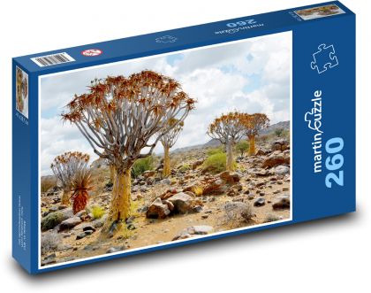 Toulcové stromy - poušť - puzzle 260 dílků