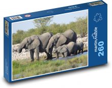 Stádo slonov Puzzle 260 dielikov - 41 x 28,7 cm 