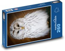 Zasnežená sova Puzzle 260 dielikov - 41 x 28,7 cm