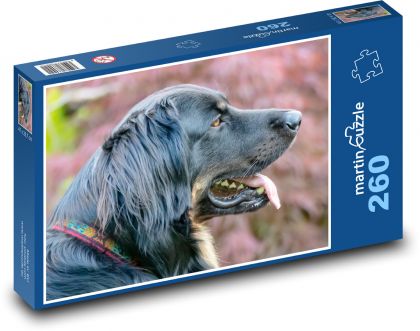 Hovawart - pes - Puzzle 260 dielikov, rozmer 41x28,7 cm