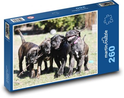 Dogs - Dogs - Puzzle 260 pieces, size 41x28.7 cm 