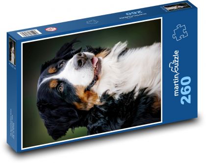 Bernský salašnícky pes - Puzzle 260 dielikov, rozmer 41x28,7 cm