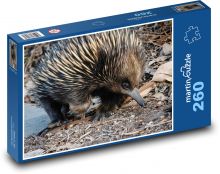 Ježura australská Puzzle 260 dílků - 41 x 28,7 cm