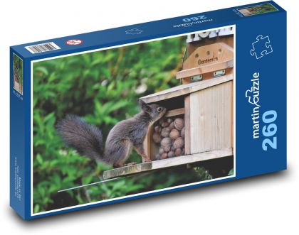Eichhörnchen - Walnuss - Puzzle - 260 Teile