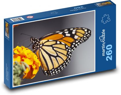 Butterfly - Monarch migratory - Puzzle 260 pieces, size 41x28.7 cm 