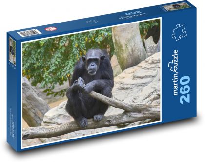 Šimpanz - opice - puzzle 260 dílků