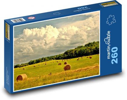 Country - Field - Puzzle 260 pieces, size 41x28.7 cm 