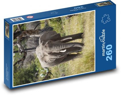 Zvíře - slon - puzzle 260 dílků