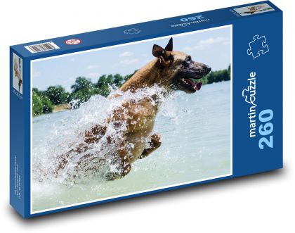 Pes - Belgický ovčák - Puzzle 260 dílků, rozměr 41x28,7 cm