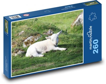 Lamb - Sheep - Puzzle 260 pieces, size 41x28.7 cm 