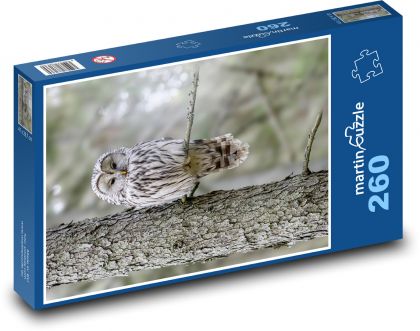 Bird of Prey - Owl - Puzzle 260 pieces, size 41x28.7 cm 