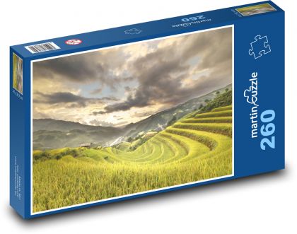 Vietnam - ryža, terasy - Puzzle 260 dielikov, rozmer 41x28,7 cm