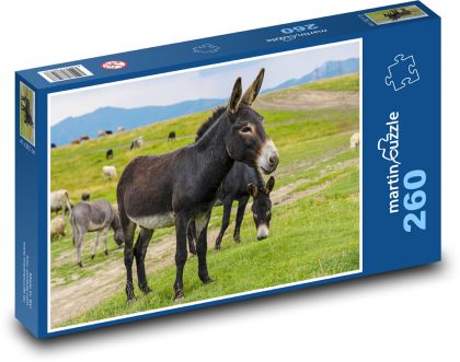 Osel - zvíře - puzzle 260 dílků